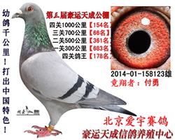 豪运天成第三届比赛