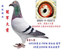 冠军火箭