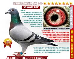 六次冠军“奇迹战神”非卖品