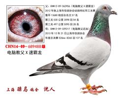 骠马9488