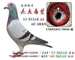 杰夫希望