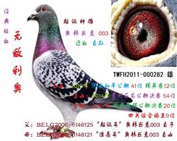 无敌利奥