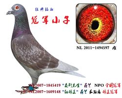 冠军小子