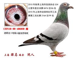 骠马6030