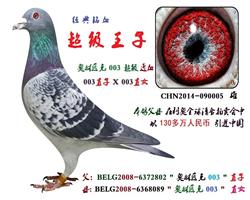 超级王子