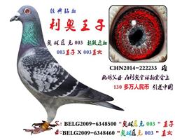 利奥王子