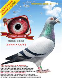 【钢铁利摩日】