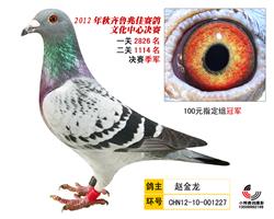 齐鲁兆佳季军指定冠军