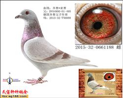 艾利登王子 直女