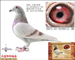 艾利登王子 直子