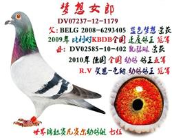梦想女郎