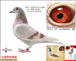 桑杰士052（罗尼·凡瑞特）