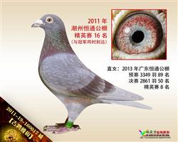 【吉鸿雅板】恒通精英16名！