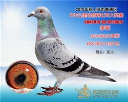骠马0575