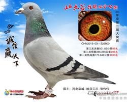 太谷86名[拍出）