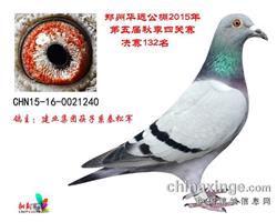 华远公棚决赛132名