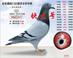 2015年秋 新疆铁门关公棚 决赛15位