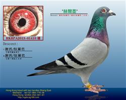【第—滴血】謝氏/狄尔巴＂赫而墨＂