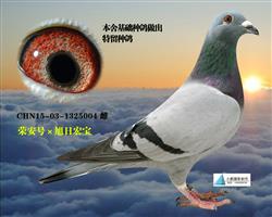 卡普7名平辈