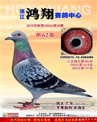 【鸿翔62名】已拍卖！