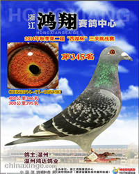 鸿翔公棚345
