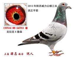 骠马7211
