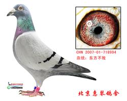 东方不败桑杰士