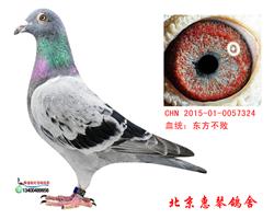 东方不败桑杰士