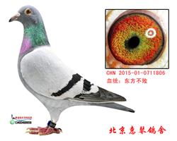 东方不败桑杰士