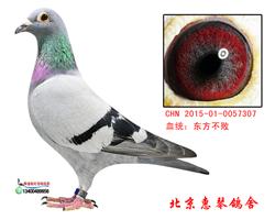 东方不败桑杰士