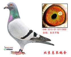 东方不败桑杰士