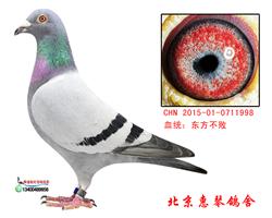 东方不败桑杰士