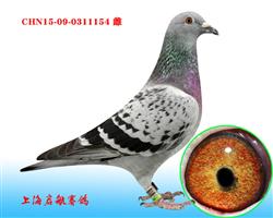 启航154（已售）