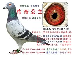 传奇公主