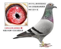 骠马5624