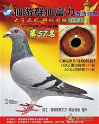 2015年福建仙遊群仙富力公棚決賽57