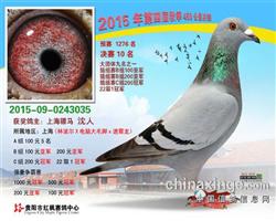 骠马3035