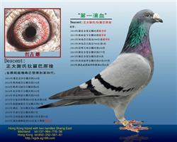 【第—滴血】謝氏/狄尔巴