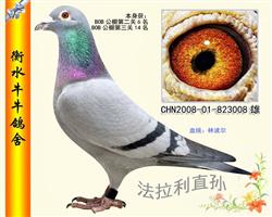 牛牛法拉利家族《任我行》