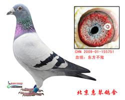 东方不败桑杰士