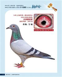 斗士超级荣耀之星 上海市特比亚军