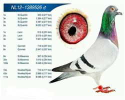 拉昂7948羽季军，圣昆丁9032羽5名