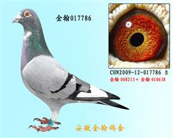 勃默德017786