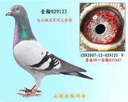 勃默德配詹森邦德007  0129125