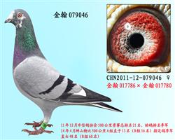勃默德079046