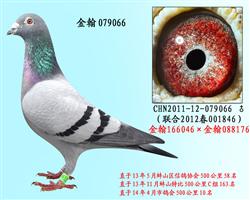 勃默德配狄尔巴  076066 已售
