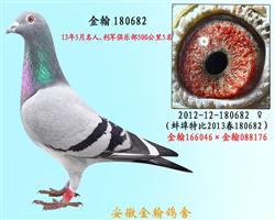 勃默德配狄尔巴     180682