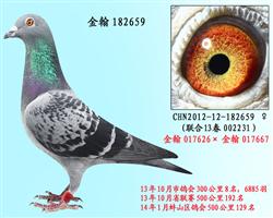 勃默德配詹森邦德007   182659