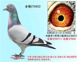 勃默德配詹森邦德007   276022