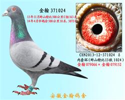 勃默德371024 已售